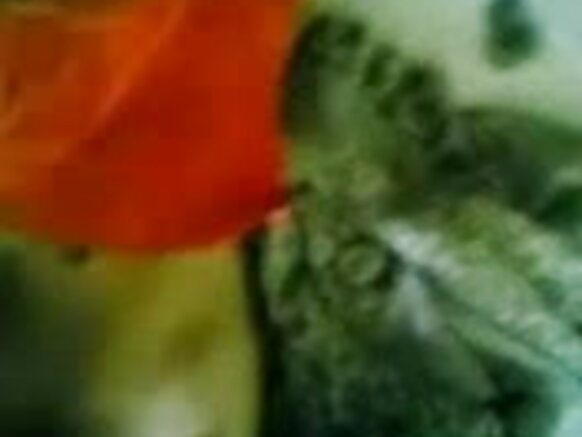 Sweet Task Show n'Imboro ya Nyinabukwe - JP Show Filime Idasanzwe y'Ivy'Igitsina Filime y'Ubusambanyi