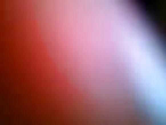 ibikoko biteye isoni amasanamu y'ibitsina y'ibinyoma