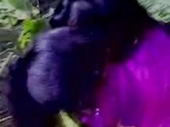 abakobwa b'abahindi b'abanyabwenge abakobwa b'abahindi basomana igihindi sexy film yuzuye hd