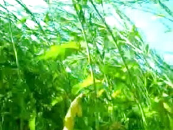congereza mw'ishamba umubonano w'amasanamu y'igitsina selva filime